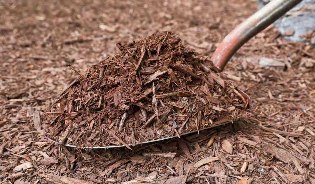 Mulch Delivery on the Gold Coast: Getting the Right Product for Your Garden Project